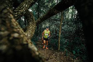 BIB: 
                            <button type="button" onclick="openModal(25665975)" class="btn btn-primary btn-sm float-right btn-popup" data-toggle="modal" data-target=".modal-high-quality">
                        <i class="fas fa-shopping-cart"></i> Add to Cart
                    </button>
                                            <button type="button" onclick="isThisMe(25665975, true)" class="btn btn-success btn-sm float-right btn-popup btn-isme hidden" data-toggle="tooltip" data-placement="bottom" title="นี่คือรูปของคุณใช่ไหม คลิกที่นี่เพื่อเอาเข้าอัลบั้ม">
                        <i class="fas fa-plus"></i> Add to album
                    </button>
                    <button type="button" onclick="isThisMe(25665975, false)" class="btn btn-warning btn-sm float-right btn-popup btn-isnotme hidden">
                        <i class="fas fa-ban"></i> Remove from album
                    </button>